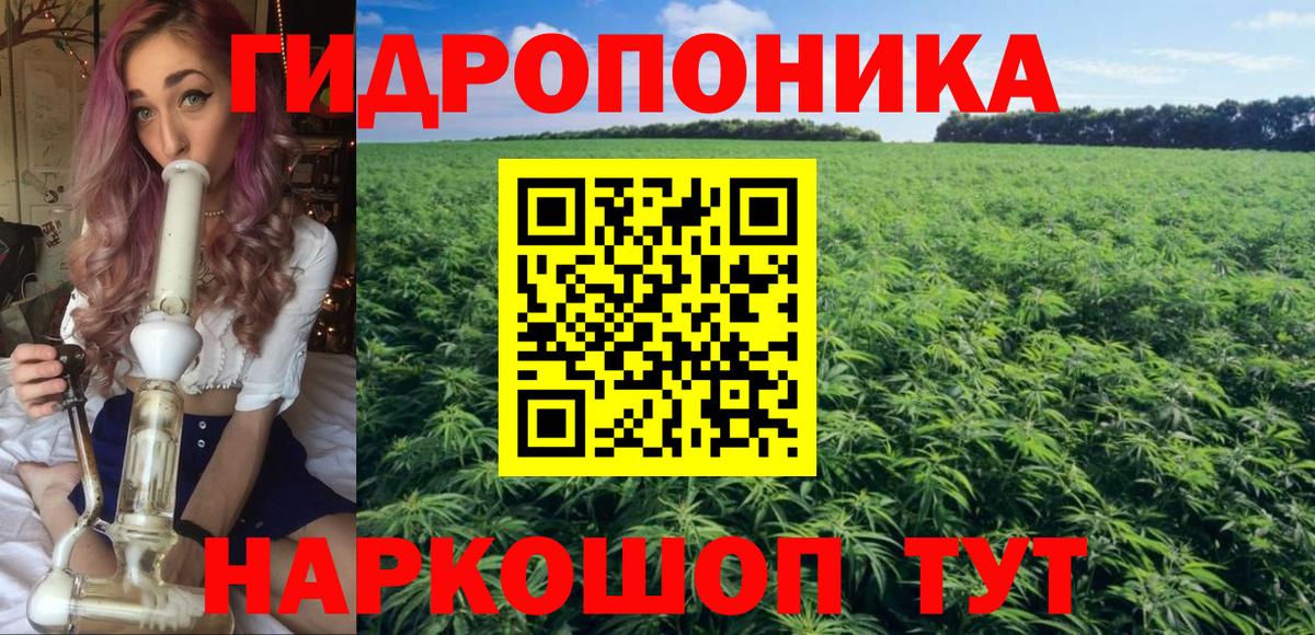 Марихуана планчик  Канабис тримм  Вход с VPN  Ульяновск  Канабис AK-47 